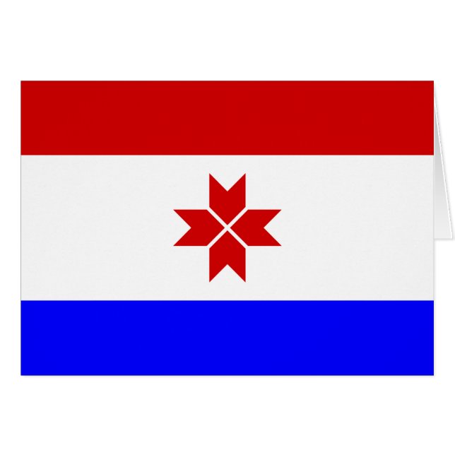 Drapeau de Mordovie (Devant horizontal)