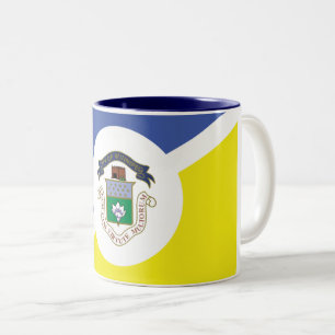 Drapeau de Winnipeg (Manitoba) Mug à café à deux t