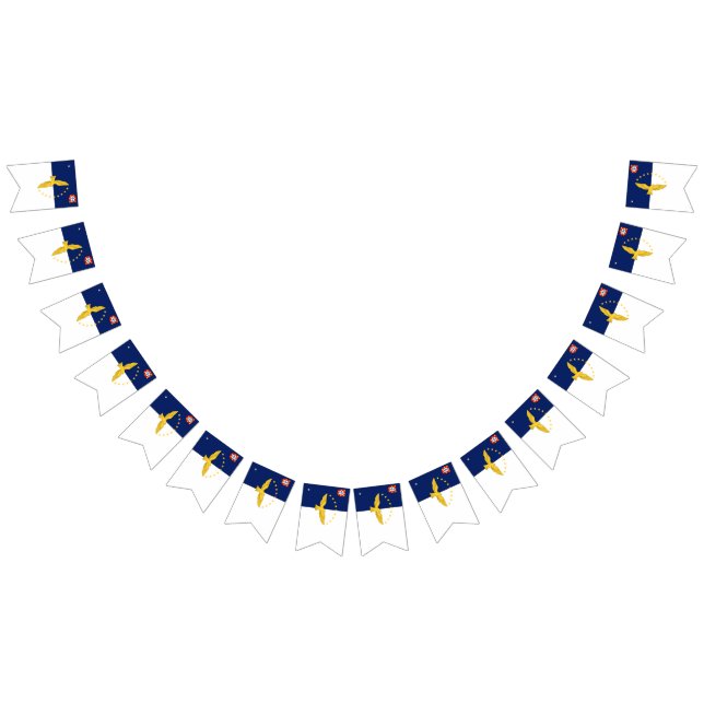 Drapeau des îles Açores: bannière flottante (Tout)
