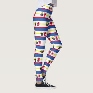 Drapeau des Leggings de Mecklembourg-Poméranie occ