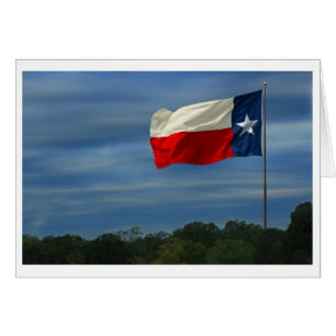 Drapeau d'état du Texas