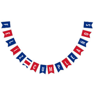 Drapeau du Costa Rica Décorations de fête d'anni