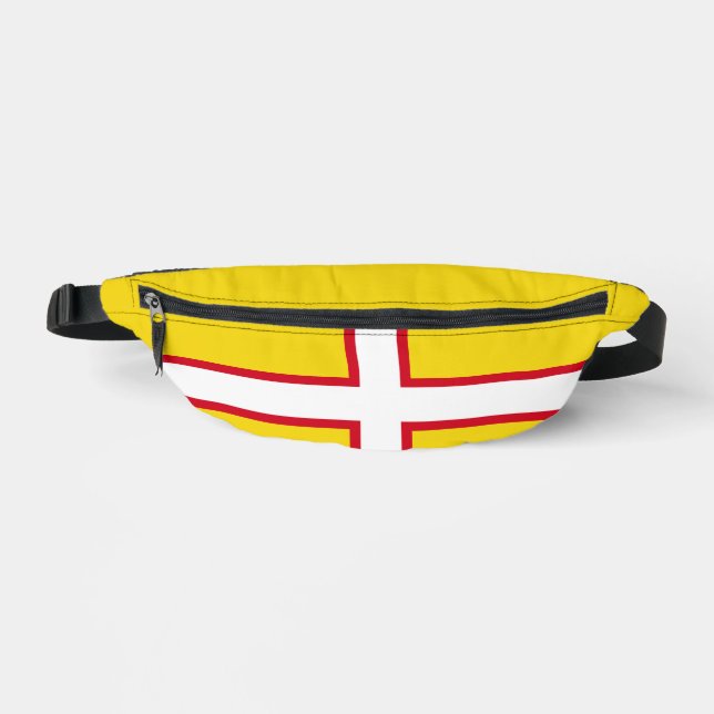 Drapeau du Dorset  (Recto)