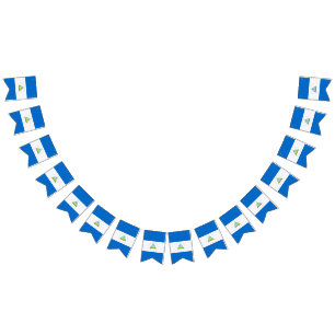Drapeau du Nicaragua