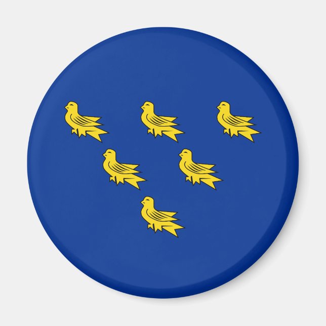 Drapeau du Sussex Magnet (Devant)