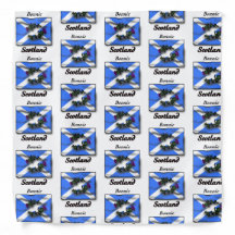 Drapeau écossais et bandana de chardon