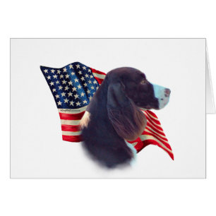 Drapeau espagnol Springer anglais