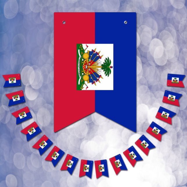 Drapeau haïtien & bannières du parti Haïti / maria (Créateur téléchargé)