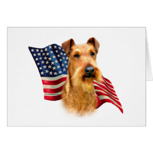 Drapeau irlandais Terrier