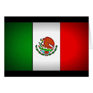 Drapeau mexicain stylisé