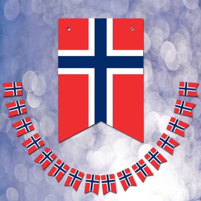 Drapeau norvégien & Parti Norvège Bannières / Mari (Créateur téléchargé)