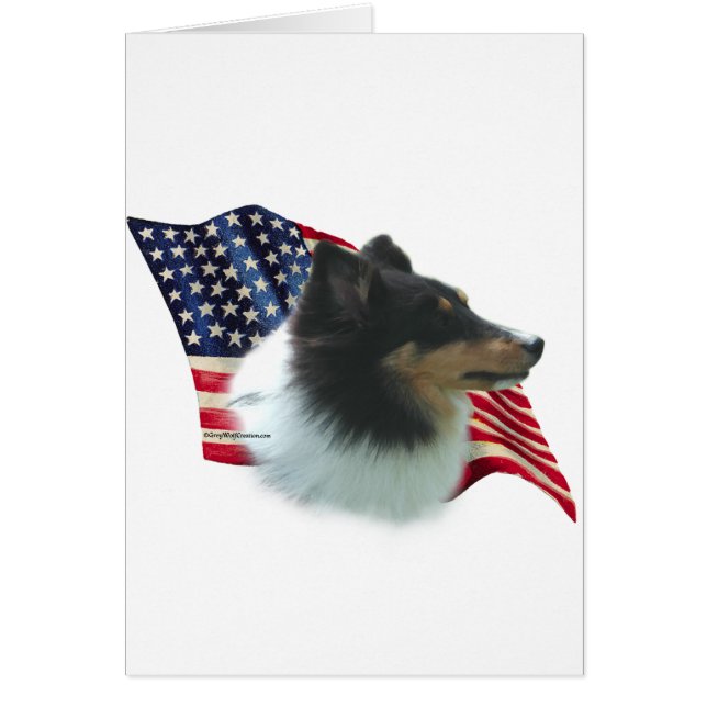 Drapeau Shetland Sheepdog (tri) (Devant)
