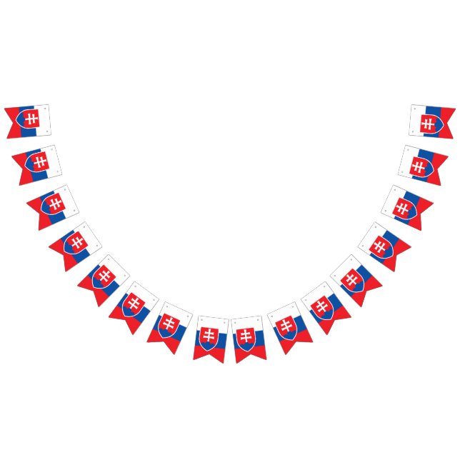 Drapeau Slovaquie (Tout)