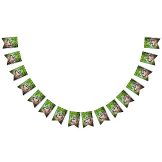 Drapeau Taino Coqui Frog