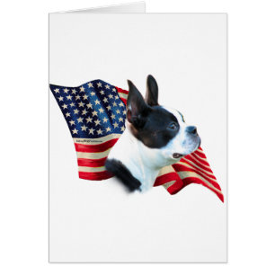 Drapeau Terrier de Boston