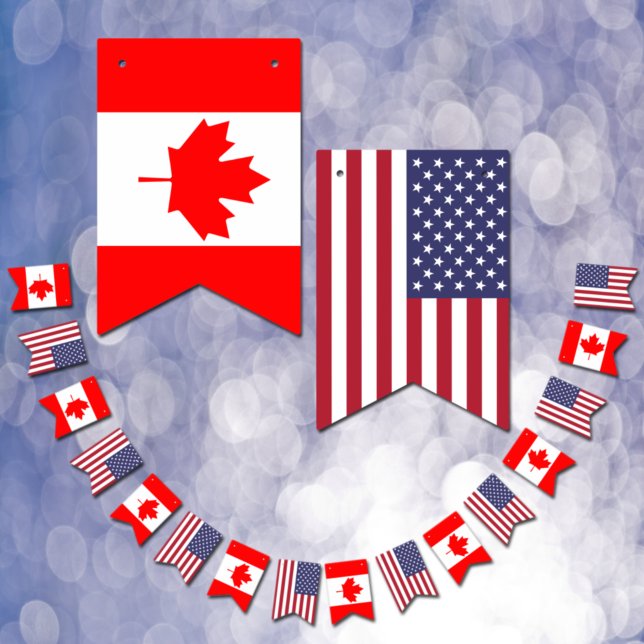 Drapeaux canadiens américains, bannières de partis (Créateur téléchargé)