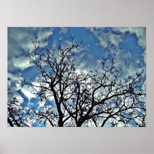 Drastisches Himmelplakat der Bäume Poster