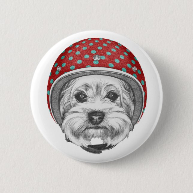 Draufgänger Yorkshires Terrier Button (Vorderseite)