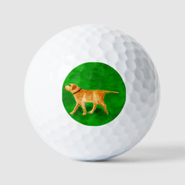 Draußen mit dem Hund spazieren Golfball