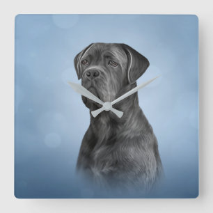 Drawing dog Cane Corso - Italian Mastiff Quadratische Wanduhr