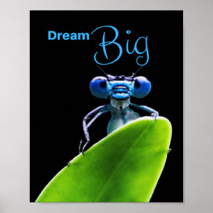 Dream Big Dragonfly Motivierend Match Poster