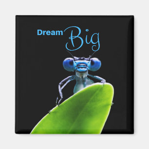 Dream Big Dragonfly Motivierend Quote Magnet