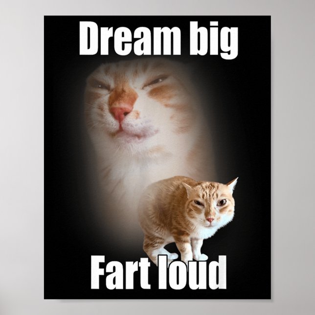 Dream Big Fart Loud Cat Meme Funny Saying  Poster (Vorne)