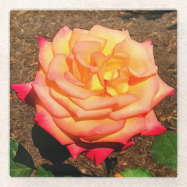 Dream Come True Rose 3 Glass Untersetzer