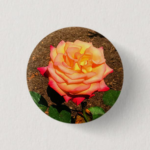 Dream Come - wahre Rose #3 - Schaltfläche Button