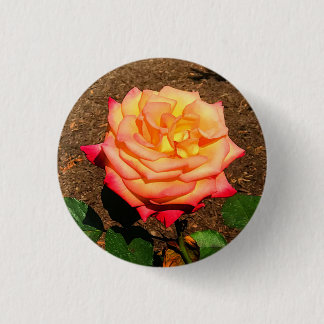 Dream Come - wahre Rose #3 - Schaltfläche Button