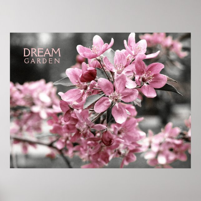 Dream Garden Poster (Vorne)