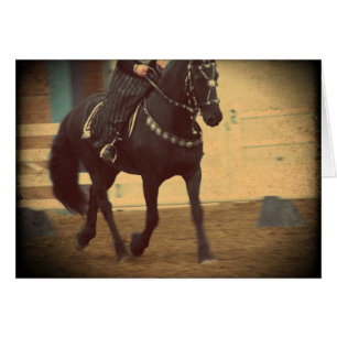 Dream Horse Dressage friésien