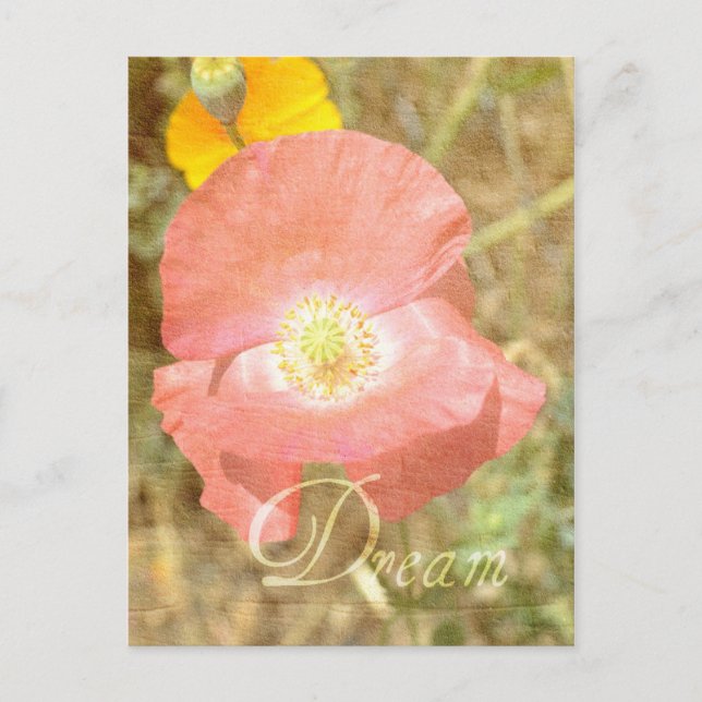 Dream Poppy Floral Postkarte (Vorderseite)