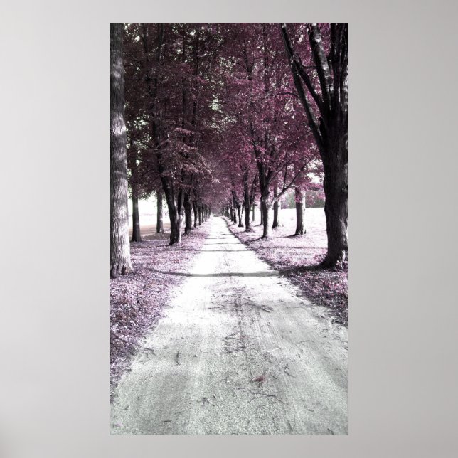 dream road poster (Vorne)