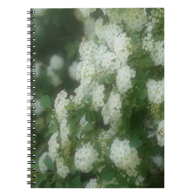 Dreamfred Wild White Roses Carnet naturel (Devant)