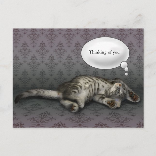 Dreaming Kitty, anpassbare Textkarte Postkarte (Vorderseite)