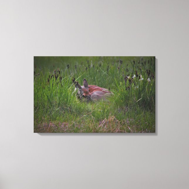 Dreamland Leinwanddruck (Vorderseite)