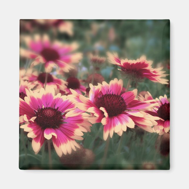 Dreamy Blanket Blume Magnet (Vorne)