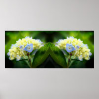 Dreamy Blue Hydrangea Blume Mirror Abstrakt