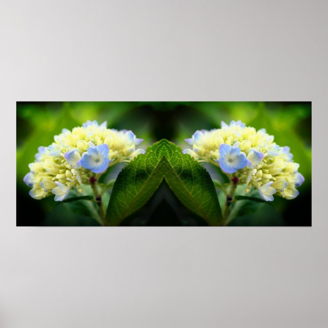 Dreamy Blue Hydrangea Blume Mirror Abstrakt Poster (Vorne)