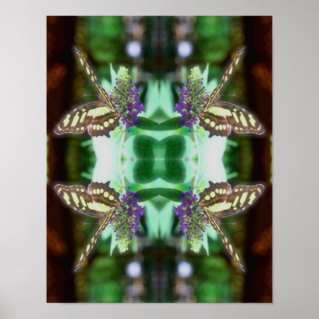 Dreamy Butterfly auf Blume Natur Abstrakt Poster (Vorne)