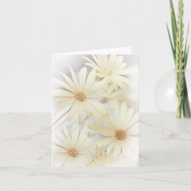 "Dreamy Daises 2" Karte (Vorderseite)