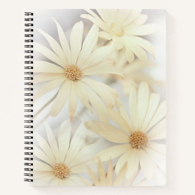 "Dreamy Daisies 2" Notizbuch (Vorderseite)