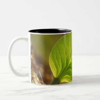 Dreamy Leaf Tasse