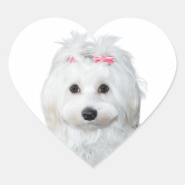 Dreamy Maltese Delightful Pup Herz-Aufkleber