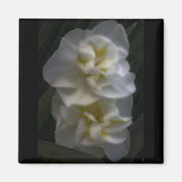 Dreamy Narcissus Magnet