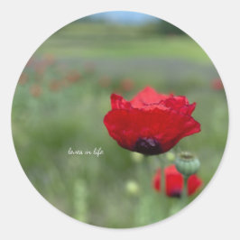 Dreamy Red Poppy Runder Aufkleber