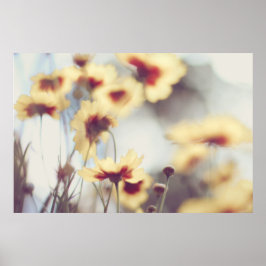 Dreamy Soft Yellow Helenium Flowers Poster