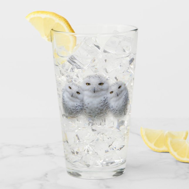 Dreamy Wisdom Snowy Owls Familie Glas (Vorderseite Ice)