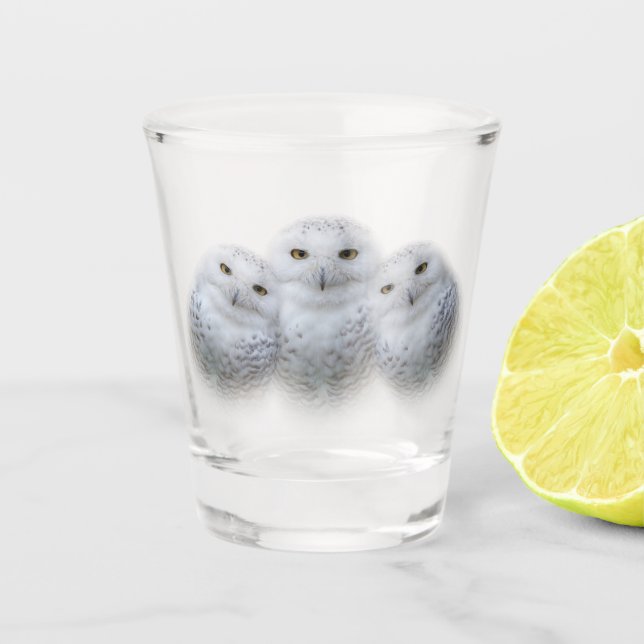 Dreamy Wisdom Snowy Owls Familie Schnapsglas (Vorderseite)